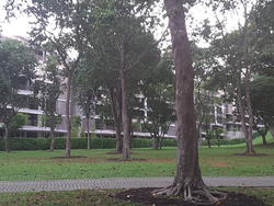 Archipelago (D16), Condominium #155727542